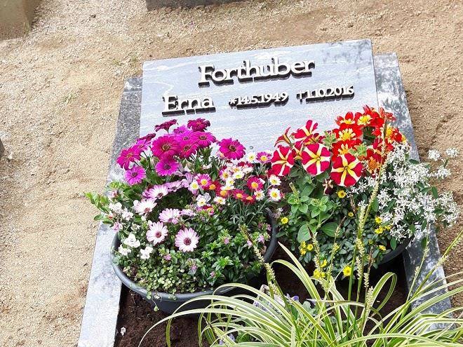 Hotel haus rossert