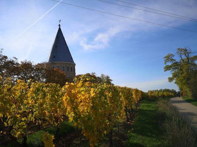 Pension tor zum rheingau