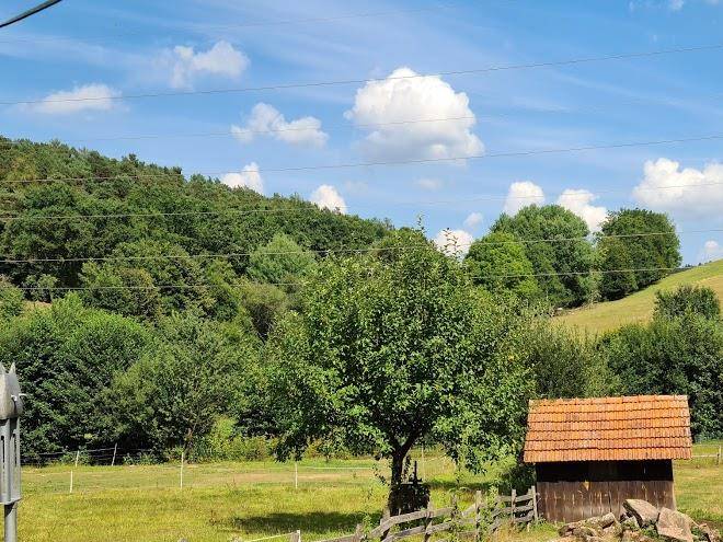 Daumsmuhle
