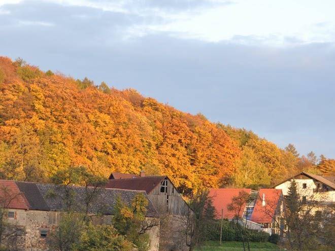 Gasthaus pension zum laudenauer tal