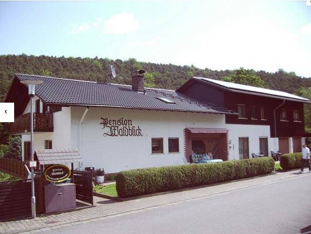 Waldblick