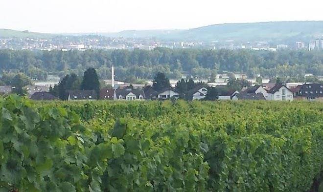 Angelika Und Manfred Leis Image