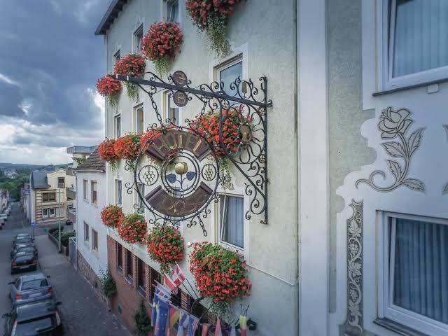 Hotel rose