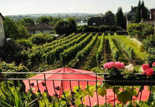 Rheingauer Hof Image