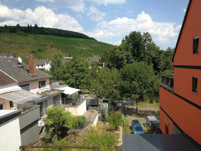 Weingut engelmann schlepper