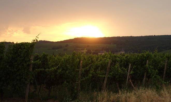 Weingut mack
