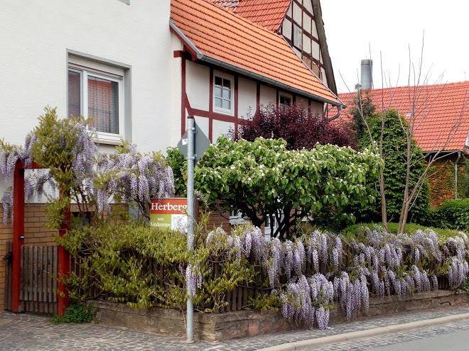 Herberge am lindenring
