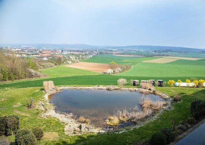 Hotel & restaurant pfefferhohe alsfeld