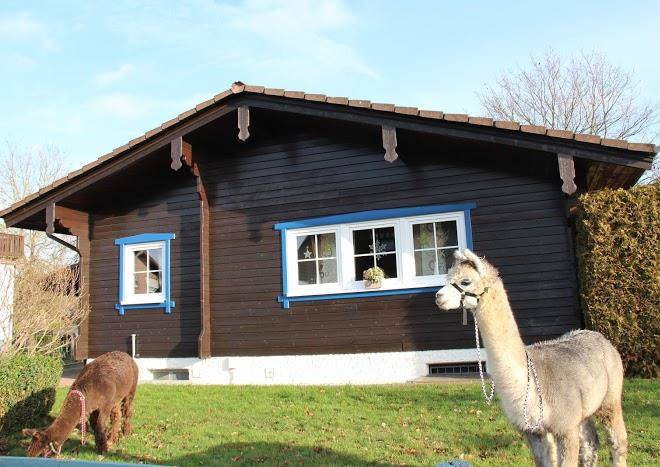 Blockhaus Am Edersee Image