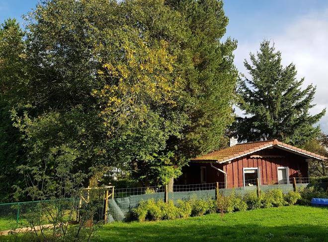 Ferienhaus im bambuswald de
