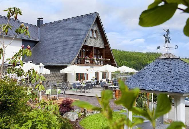 Wald hotel willingen