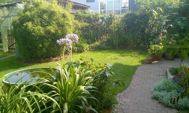 Pension ferienhaus petra beljung