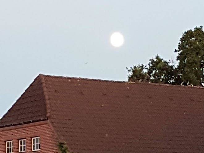 Urlaubsdomizil im grunen