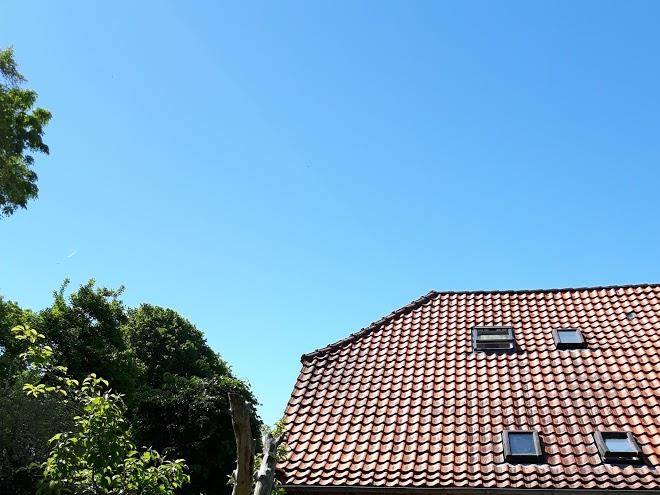 Gastehaus djuren