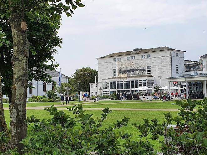 Haus seeschwalbe