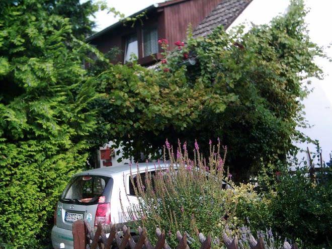 Waldschlosschen Image