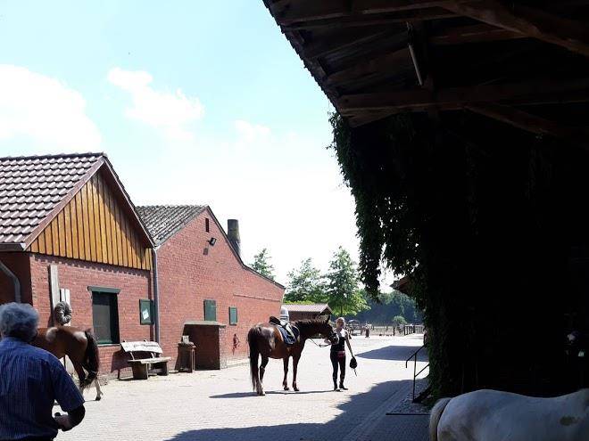 Woltermanns ponyhof