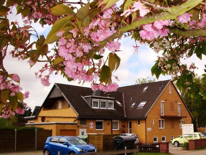 Pension haus erika
