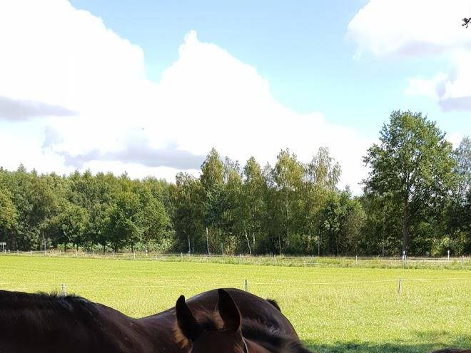 Ferienhof over