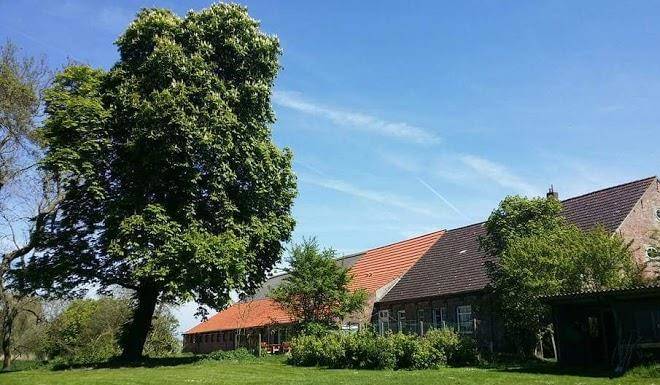 Kaisershofer rabennust ferienhof