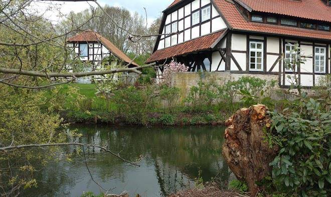 Zum okerwehr pension & antiquitaten cafe