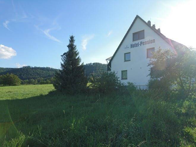Harzblick