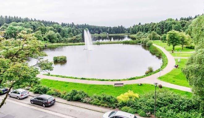 Hotel Vier Jahreszeiten Hahnenklee Image
