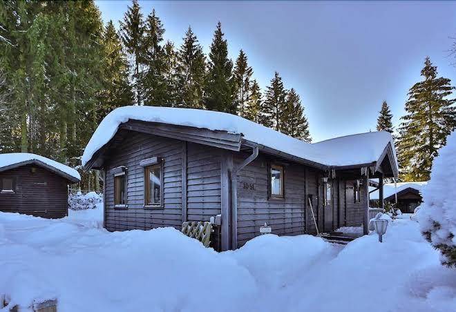 Waldsee ferienhaus harz