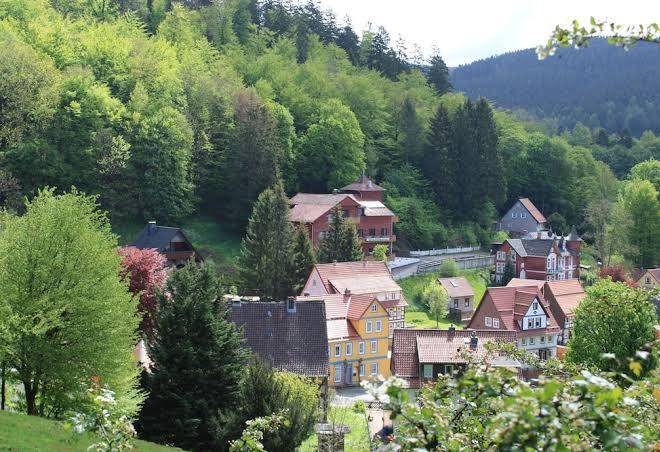 Hotel pension waldhaus bad grund