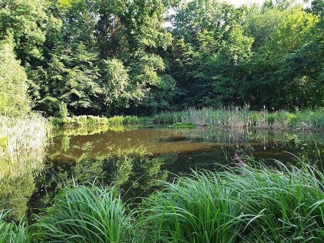 Ferienhof plesse
