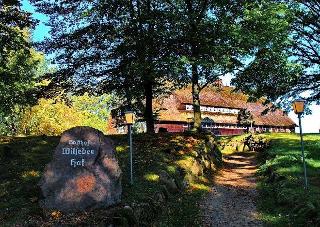 Wilseder hof