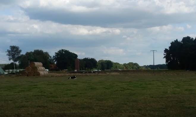 Jurgen Vos Landwirtschaft Image