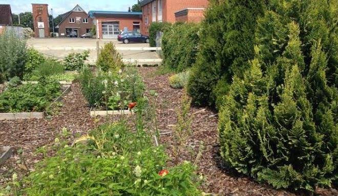 Landhotel Franck Image