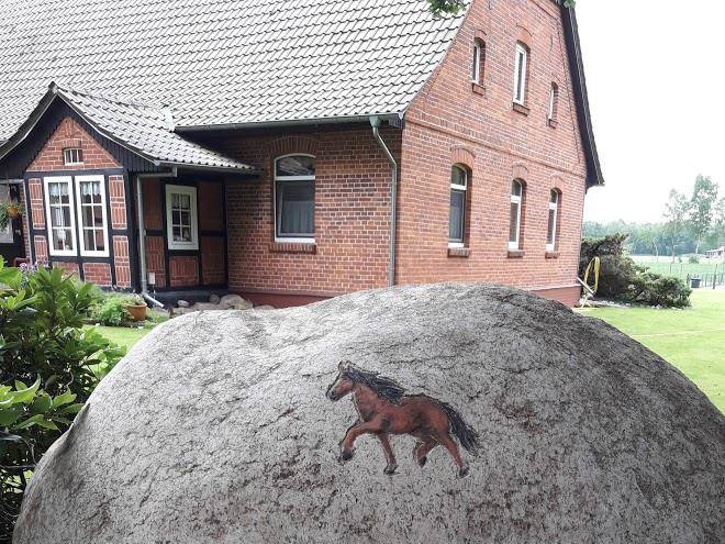 Ponyhof fur kinder jutta hagedorn basler