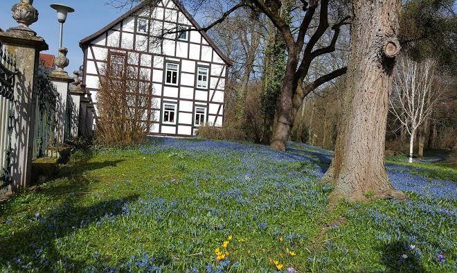 Hotel Restaurant Einbecker Hof Image