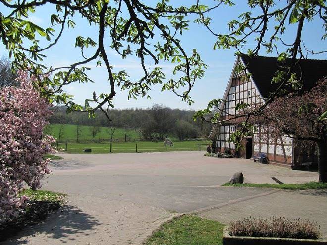 Hof niederrielage