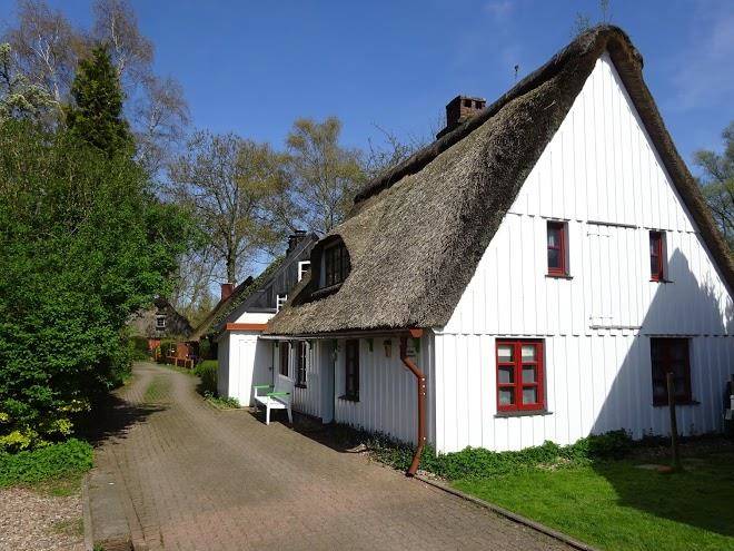 Reetdachkate dornbusch
