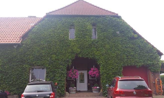 Pension heinemann