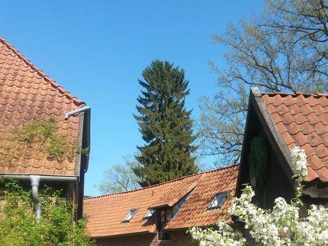 Dat uhlenhus