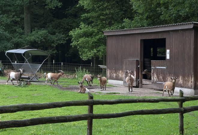 Vila Vita Burghotel Image