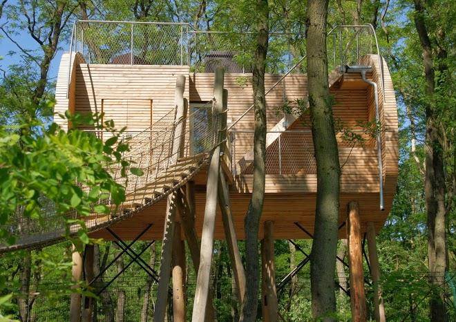 Tree inn
