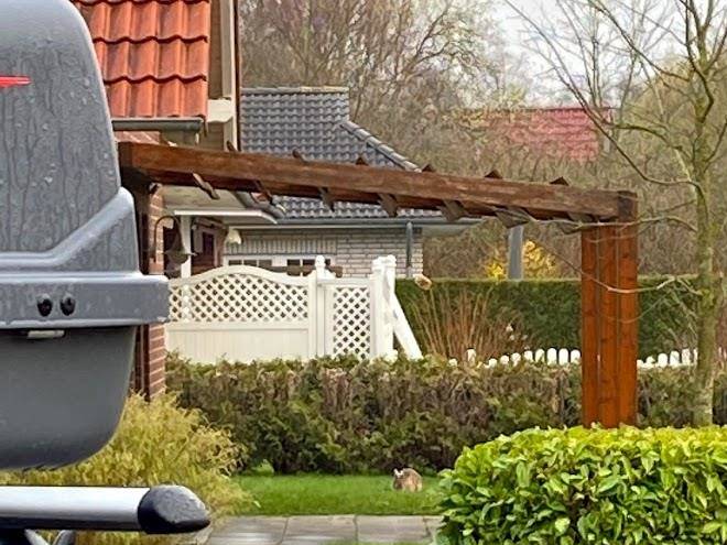 Ferienpark am meer