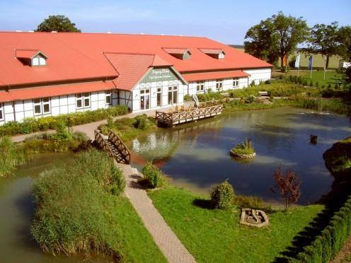 Gutshof sparow