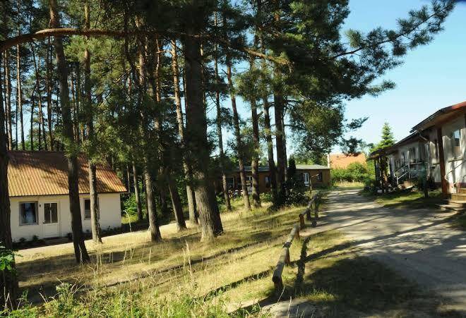 Waldsiedlung Am Waschsee Image