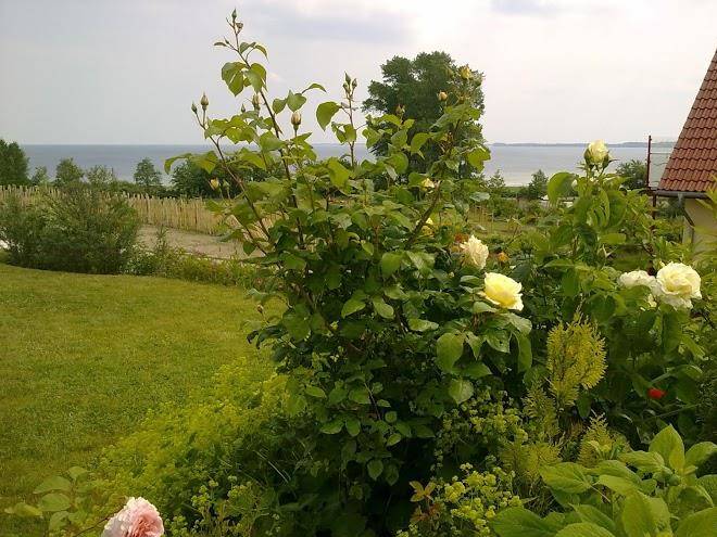 Ferienhaus ostseeblick