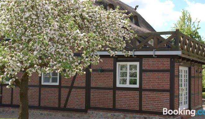 Reet Und Meer Beckerwitz Image