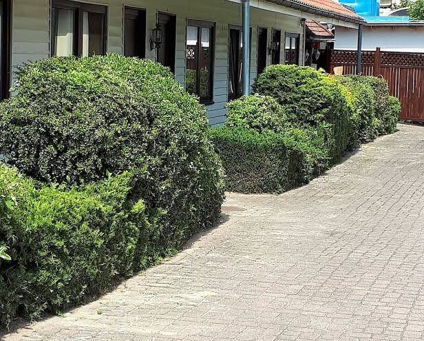 Zur Goldenen Krone Image