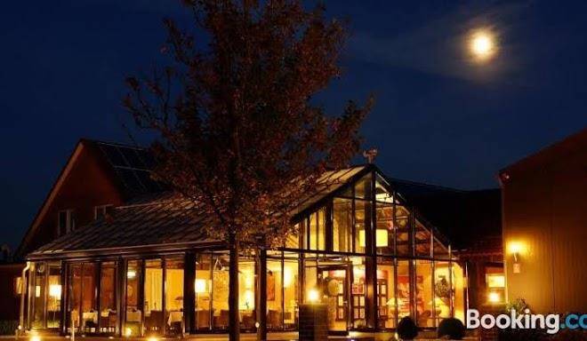 Alcedo Levenhagen Image