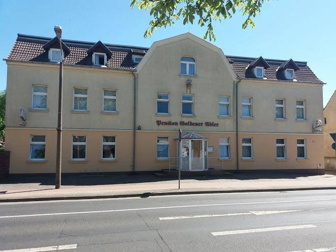 Goldener Adler Image