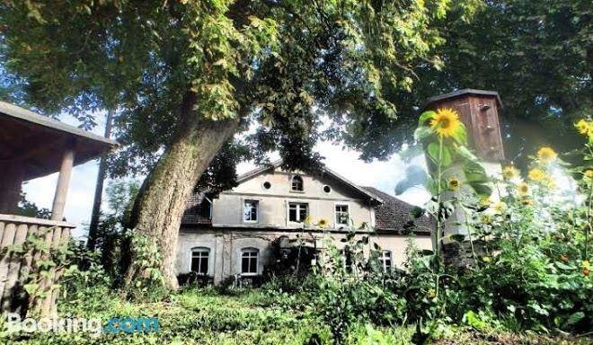 Lehmbau Im Kastanienhof Image